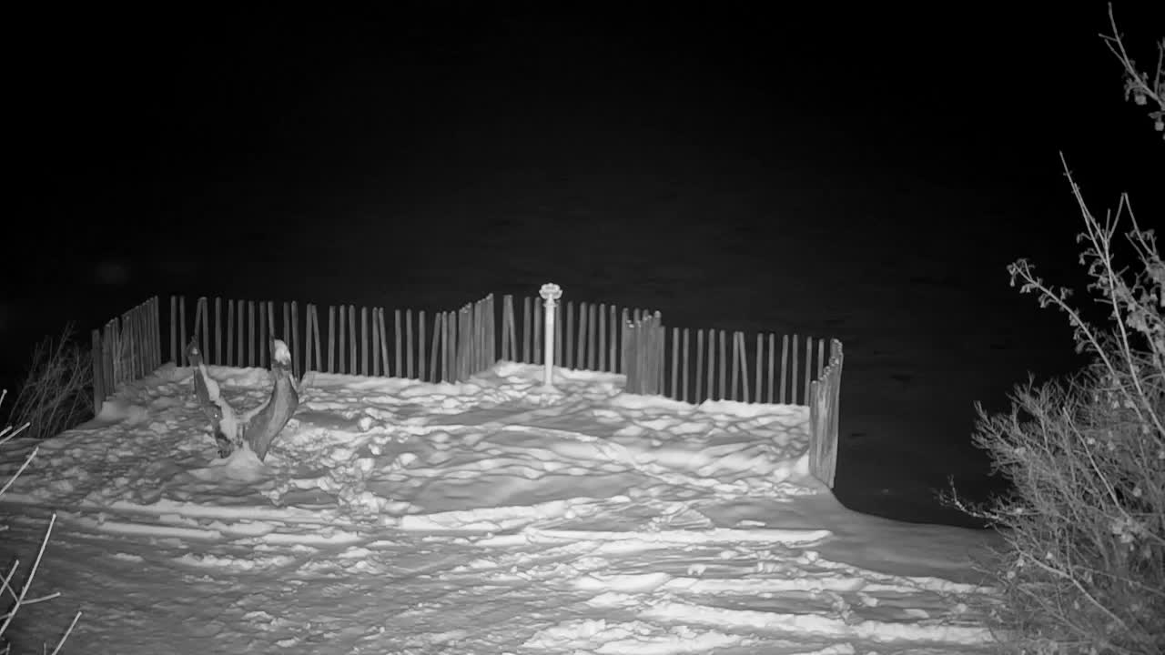 Webcam Ribnik Vrbje – Žalec