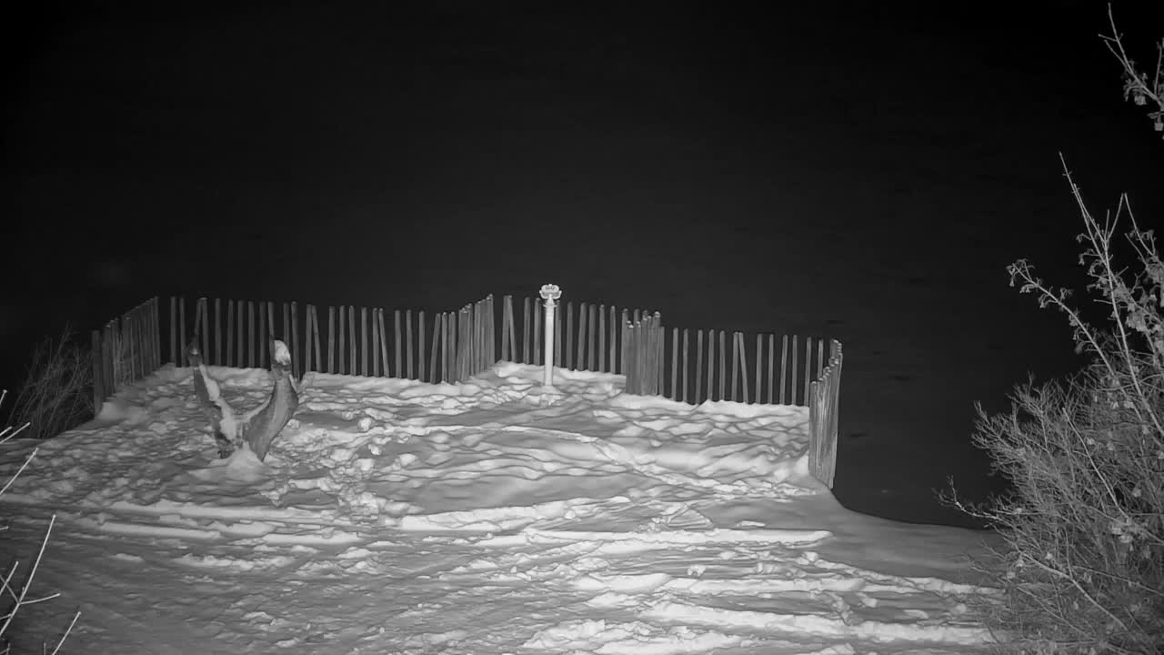 Webcam Ribnik Vrbje – Žalec