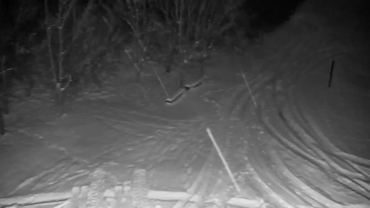 Webcam Ribnik Vrbje – Žalec