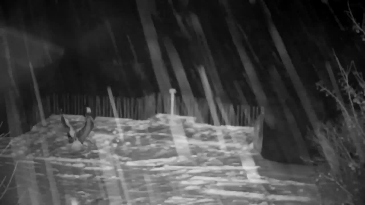 Spletna kamera Ribnik Vrbje – Žalec