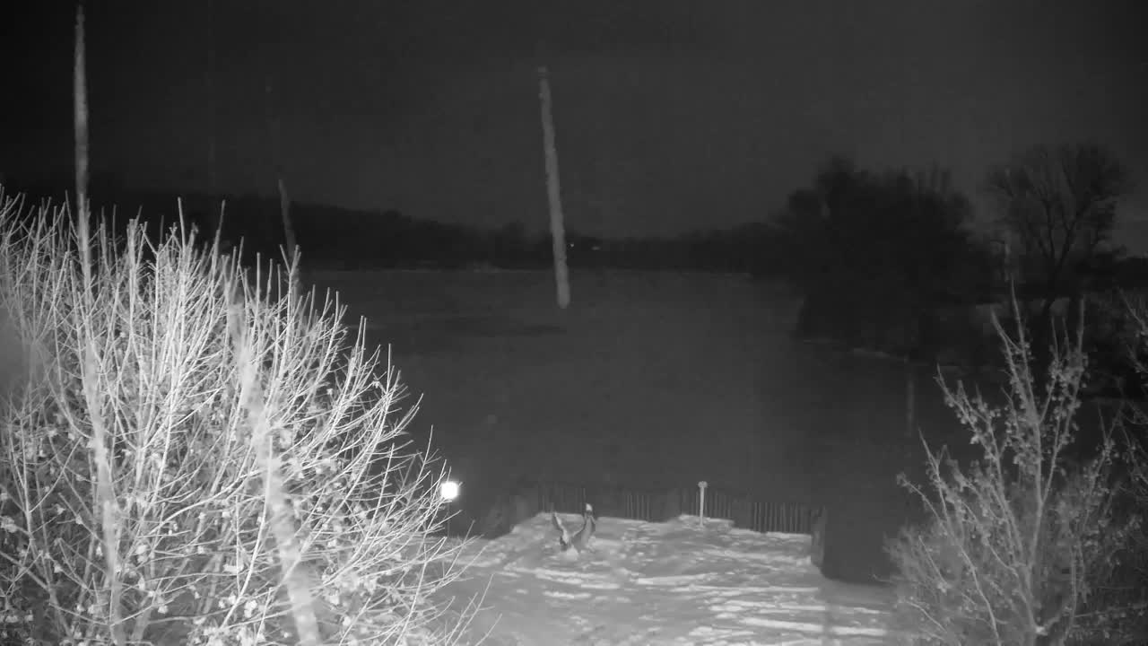 Webcam Ribnik Vrbje – Žalec