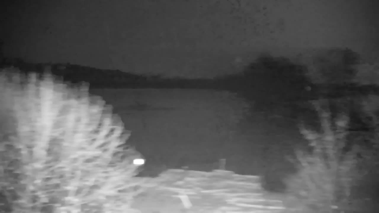 Webcam Ribnik Vrbje – Žalec