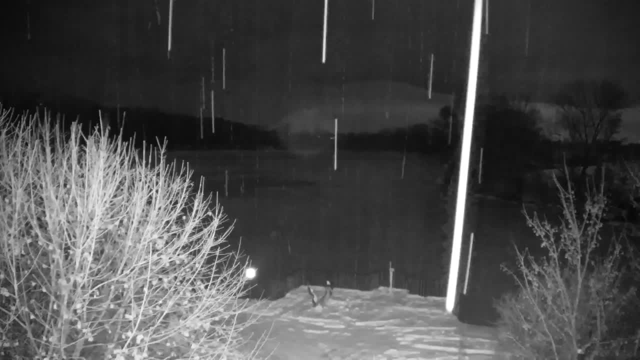 Spletna kamera Ribnik Vrbje – Žalec