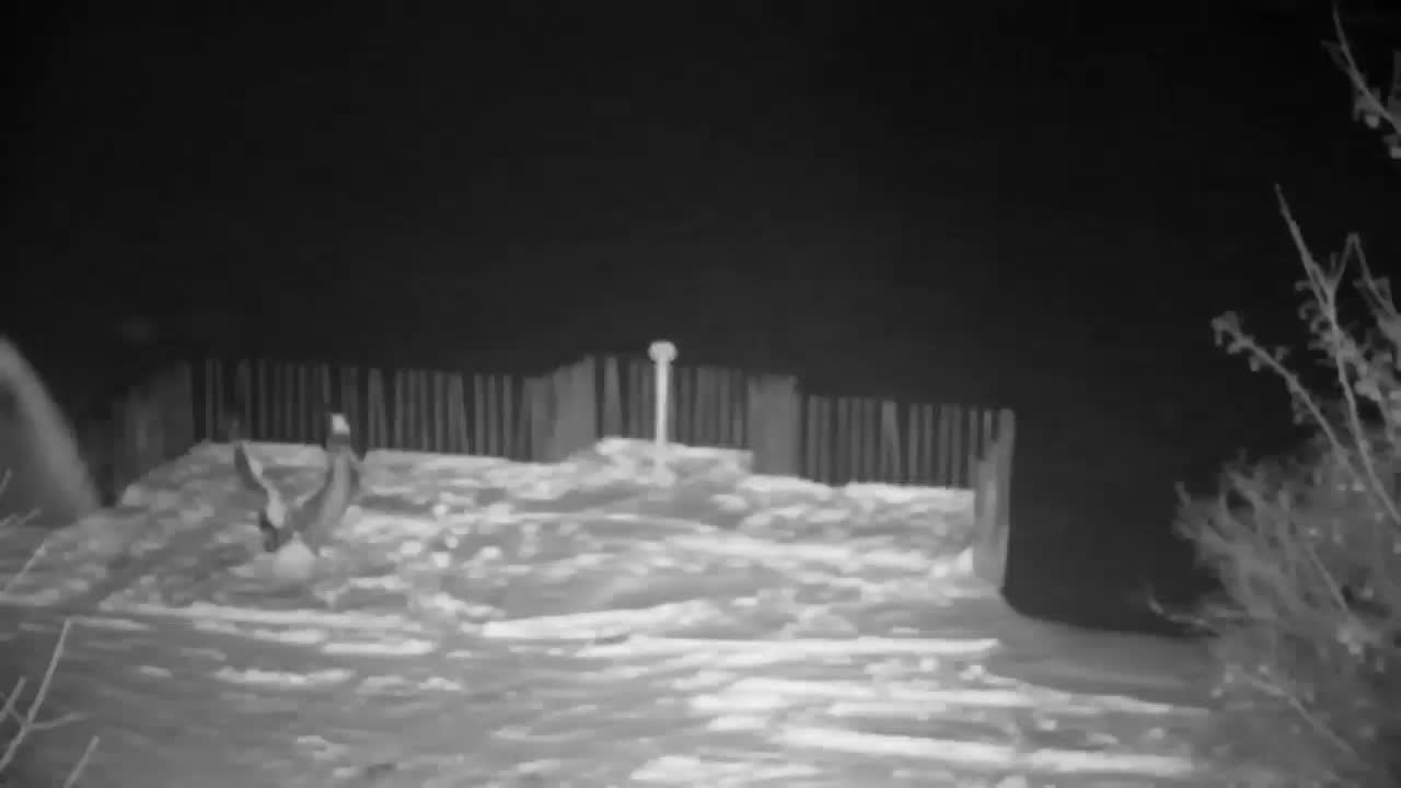 Webcam Ribnik Vrbje – Žalec