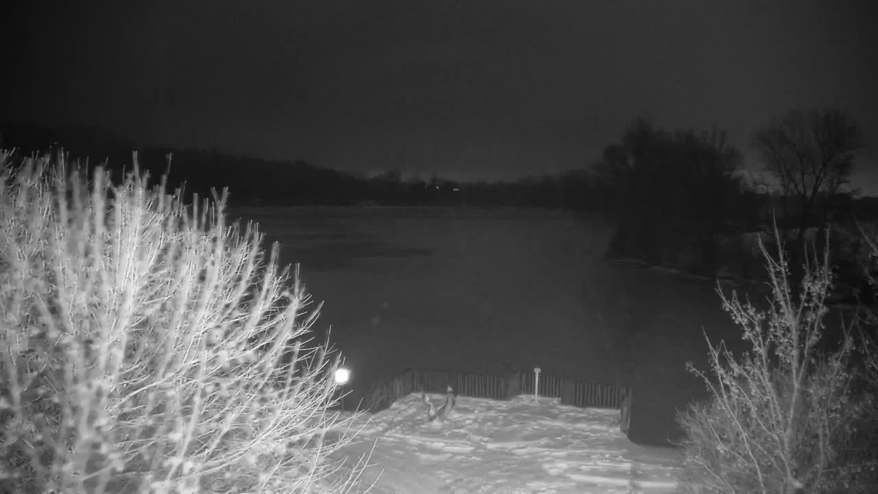 Webcam Ribnik Vrbje – Žalec