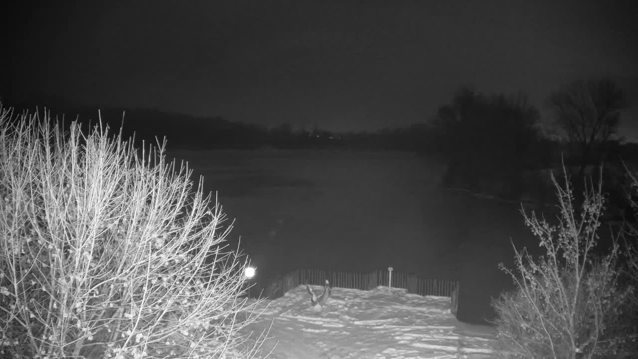 Webcam Ribnik Vrbje – Žalec