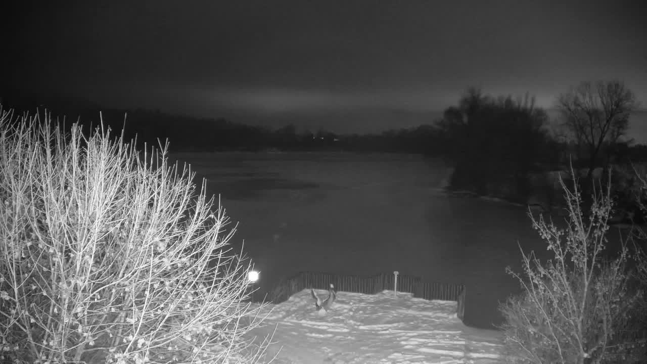 Webcam Ribnik Vrbje – Žalec