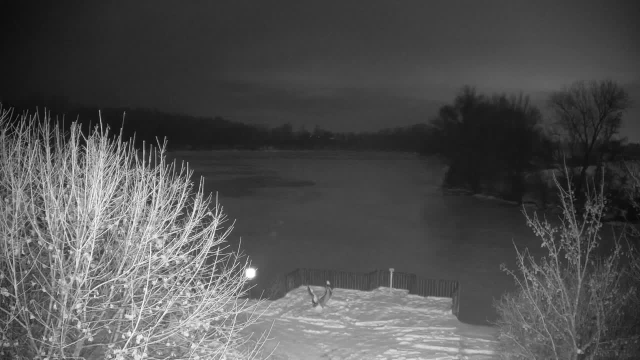 Webcam Ribnik Vrbje – Žalec