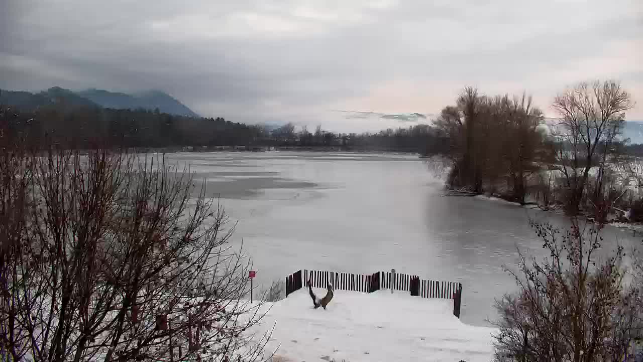 Webcam Ribnik Vrbje – Žalec