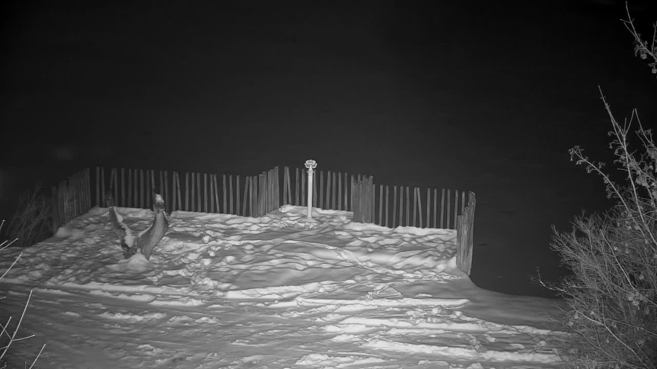 Webcam Ribnik Vrbje – Žalec