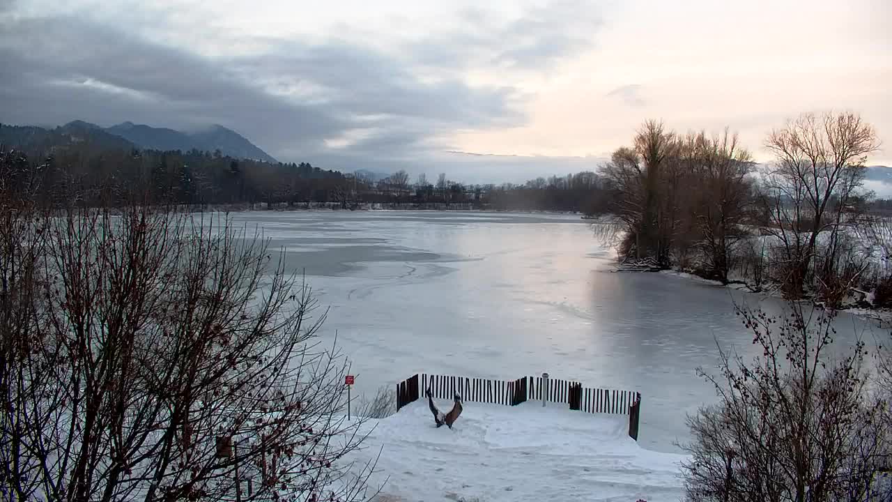 Webcam Ribnik Vrbje – Žalec