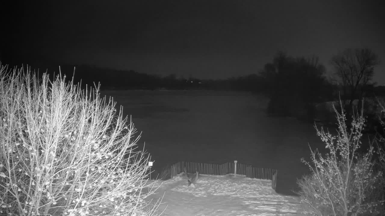 Webcam Ribnik Vrbje – Žalec