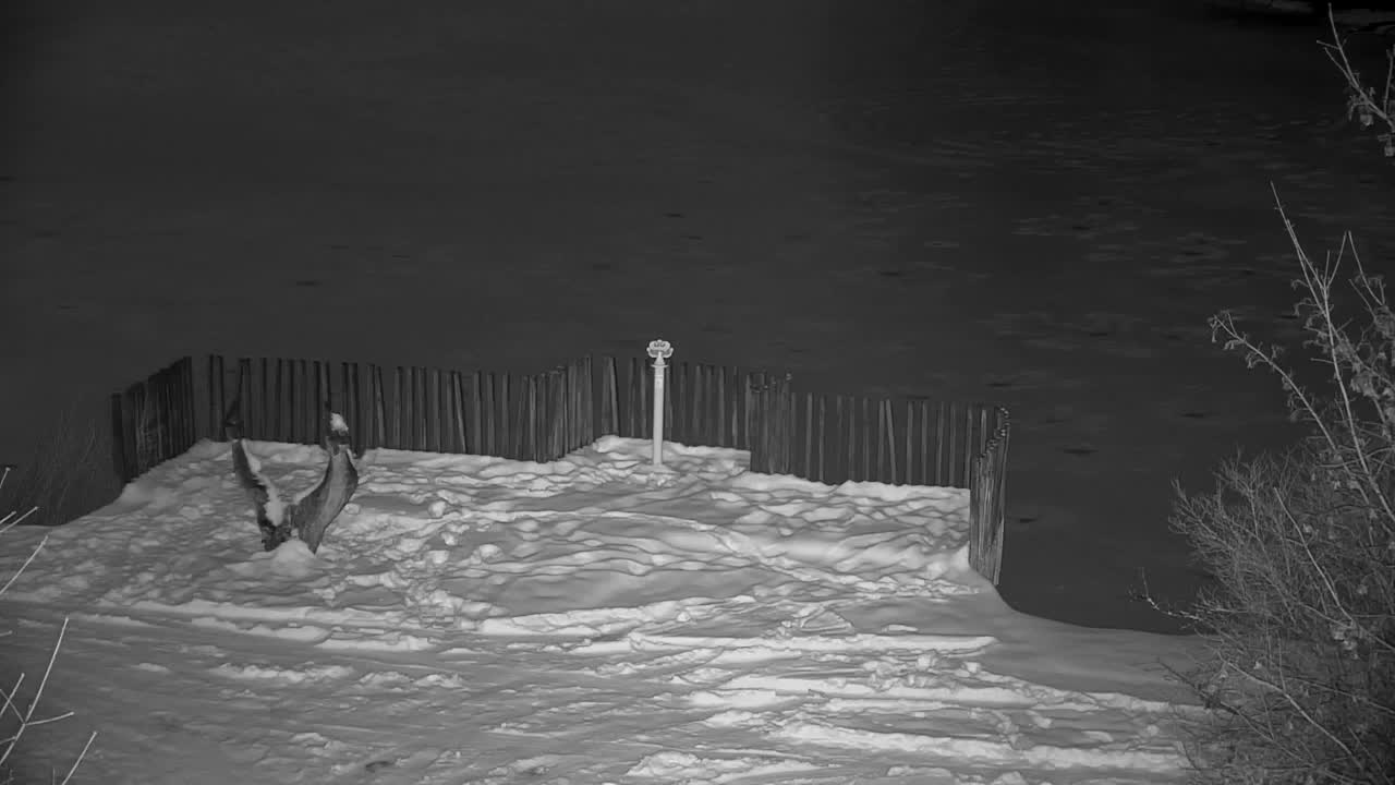 Webcam Ribnik Vrbje – Žalec