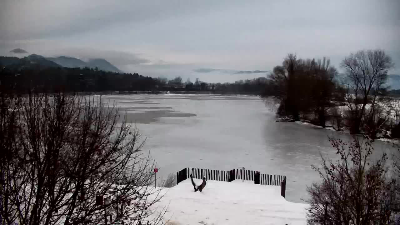 Webcam Ribnik Vrbje – Žalec