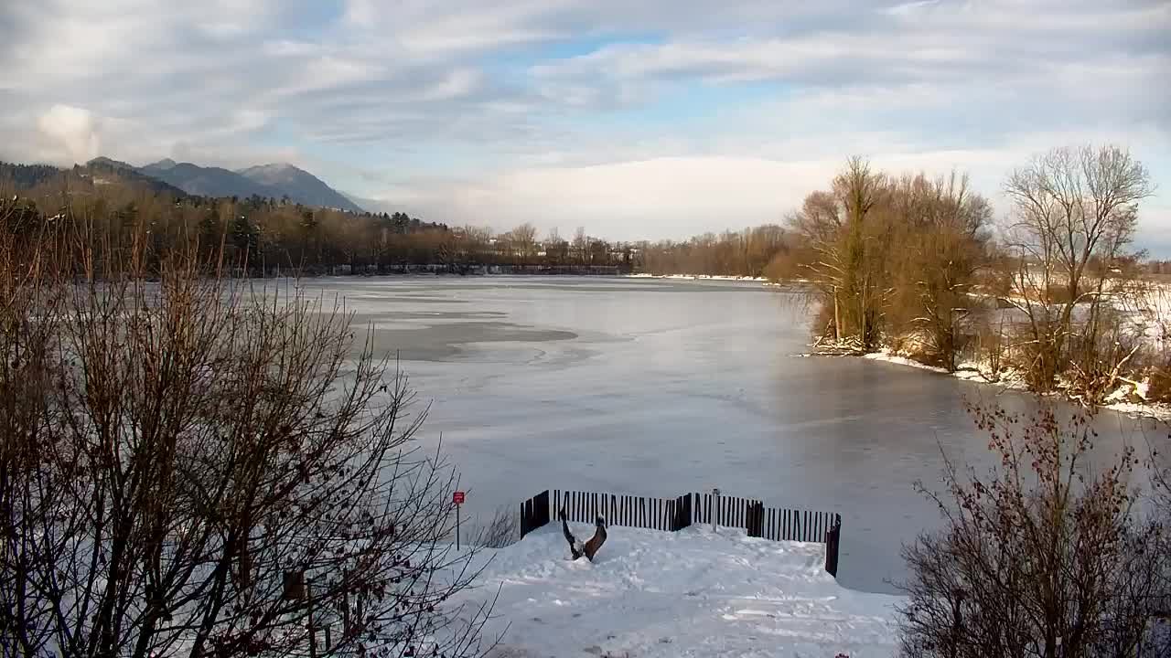 Spletna kamera Ribnik Vrbje – Žalec