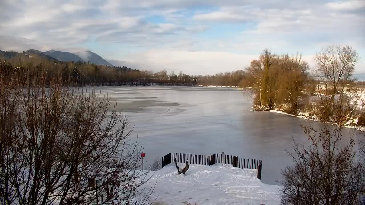 Webcam Ribnik Vrbje – Žalec