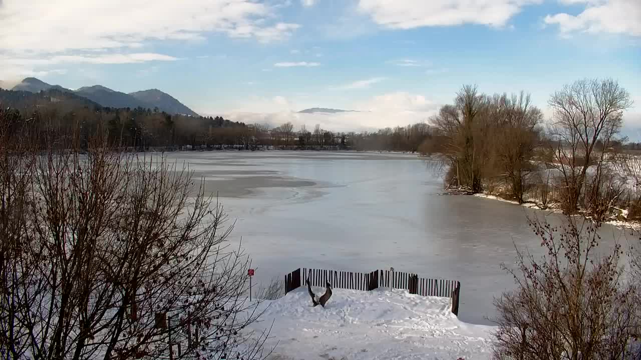 Webcam Ribnik Vrbje – Žalec