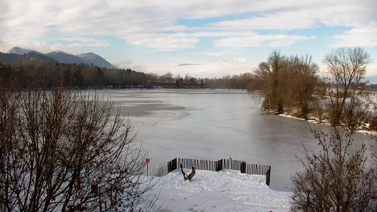 Webcam Ribnik Vrbje – Žalec