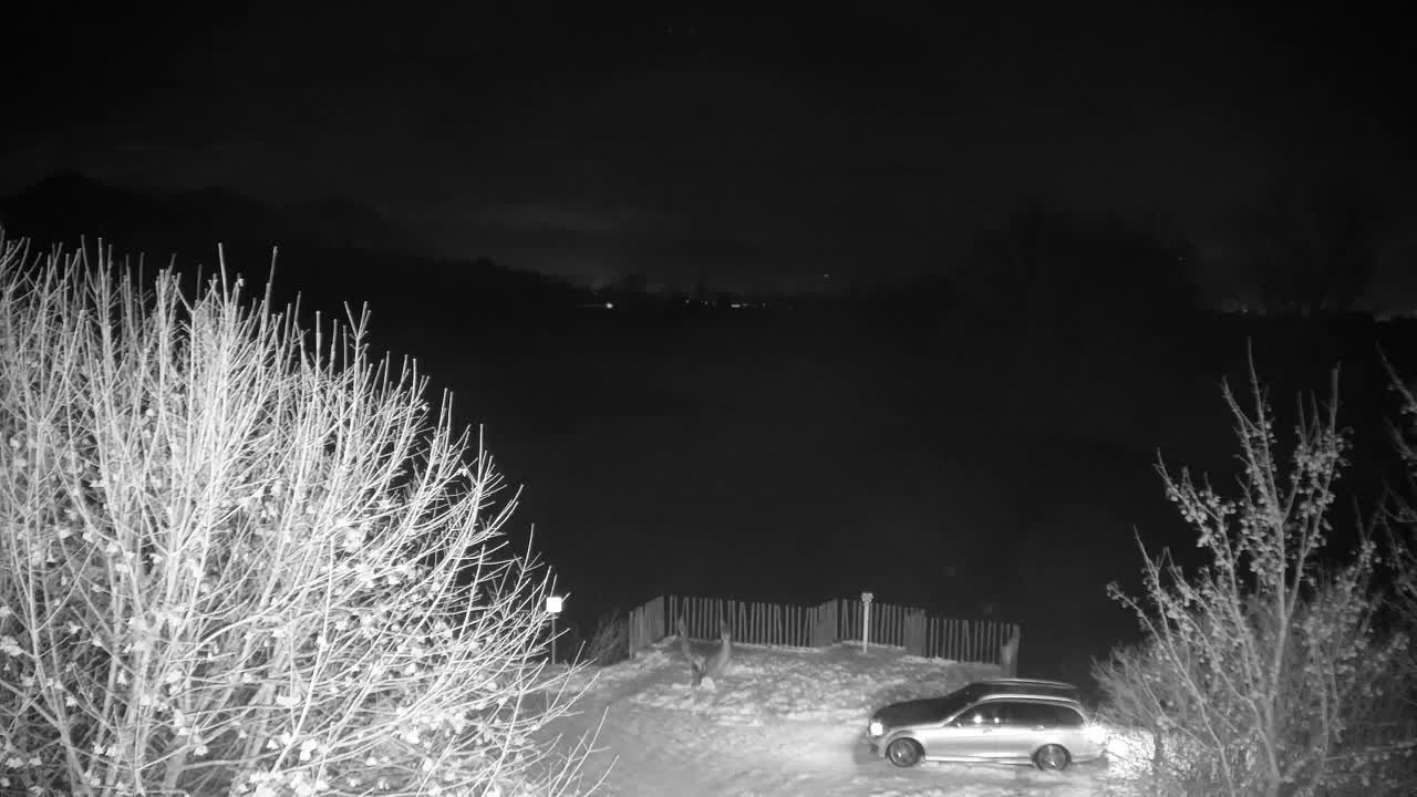 Webcam Ribnik Vrbje – Žalec