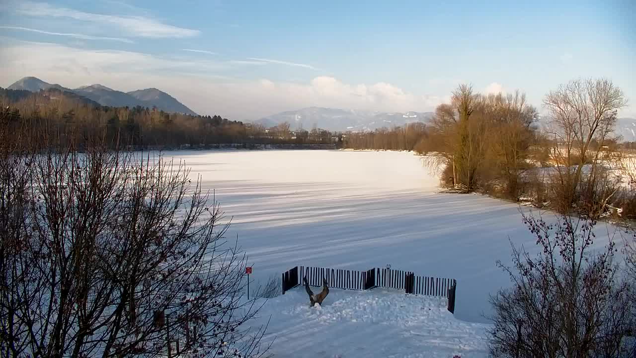 Webcam Ribnik Vrbje – Žalec