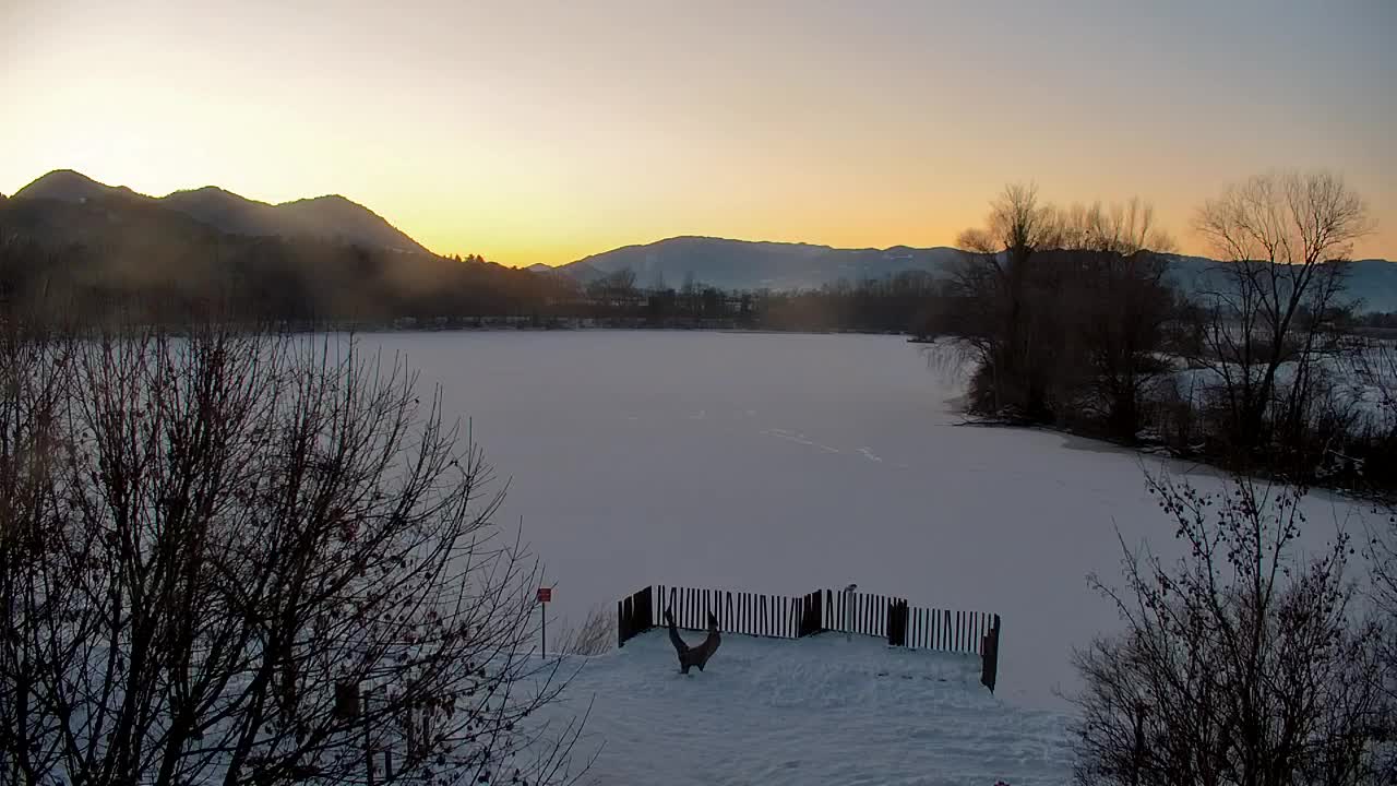 Webcam Ribnik Vrbje – Žalec