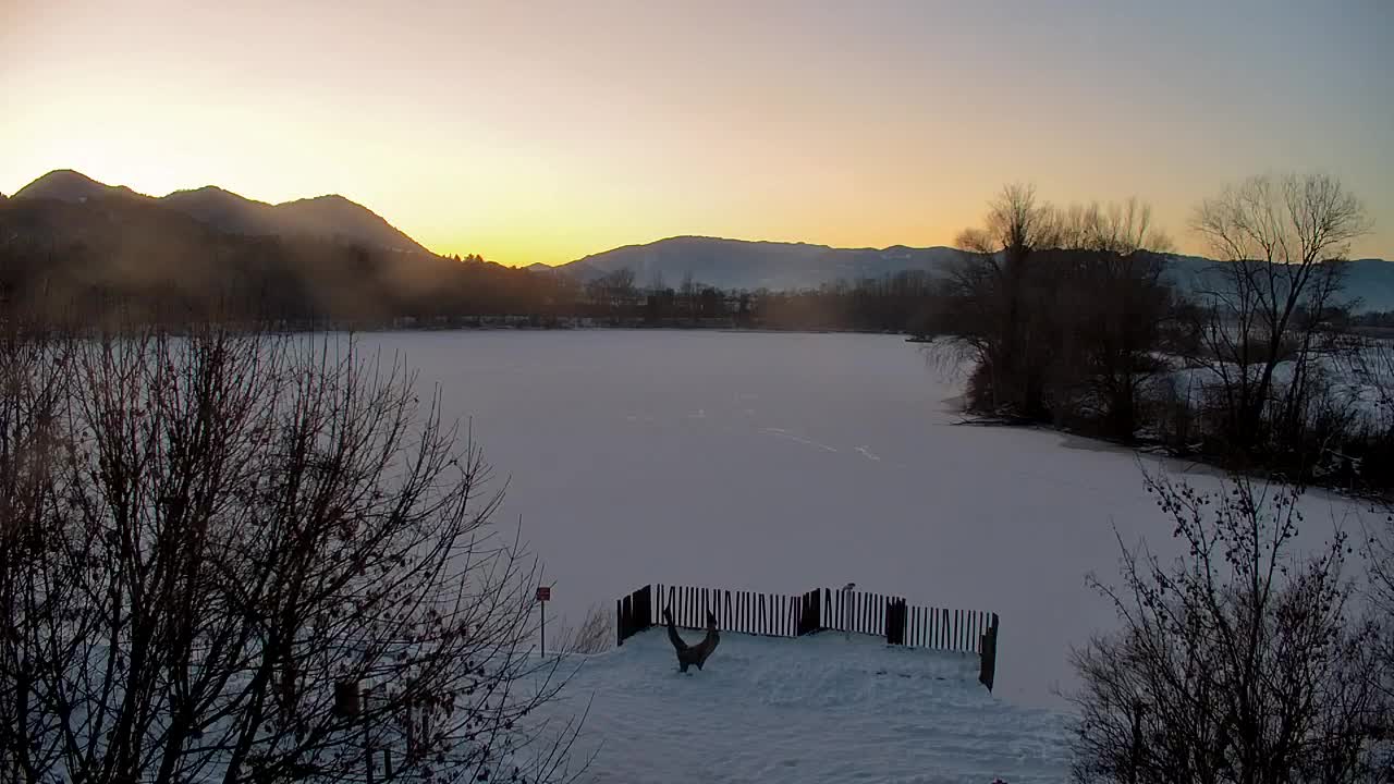 Spletna kamera Ribnik Vrbje – Žalec