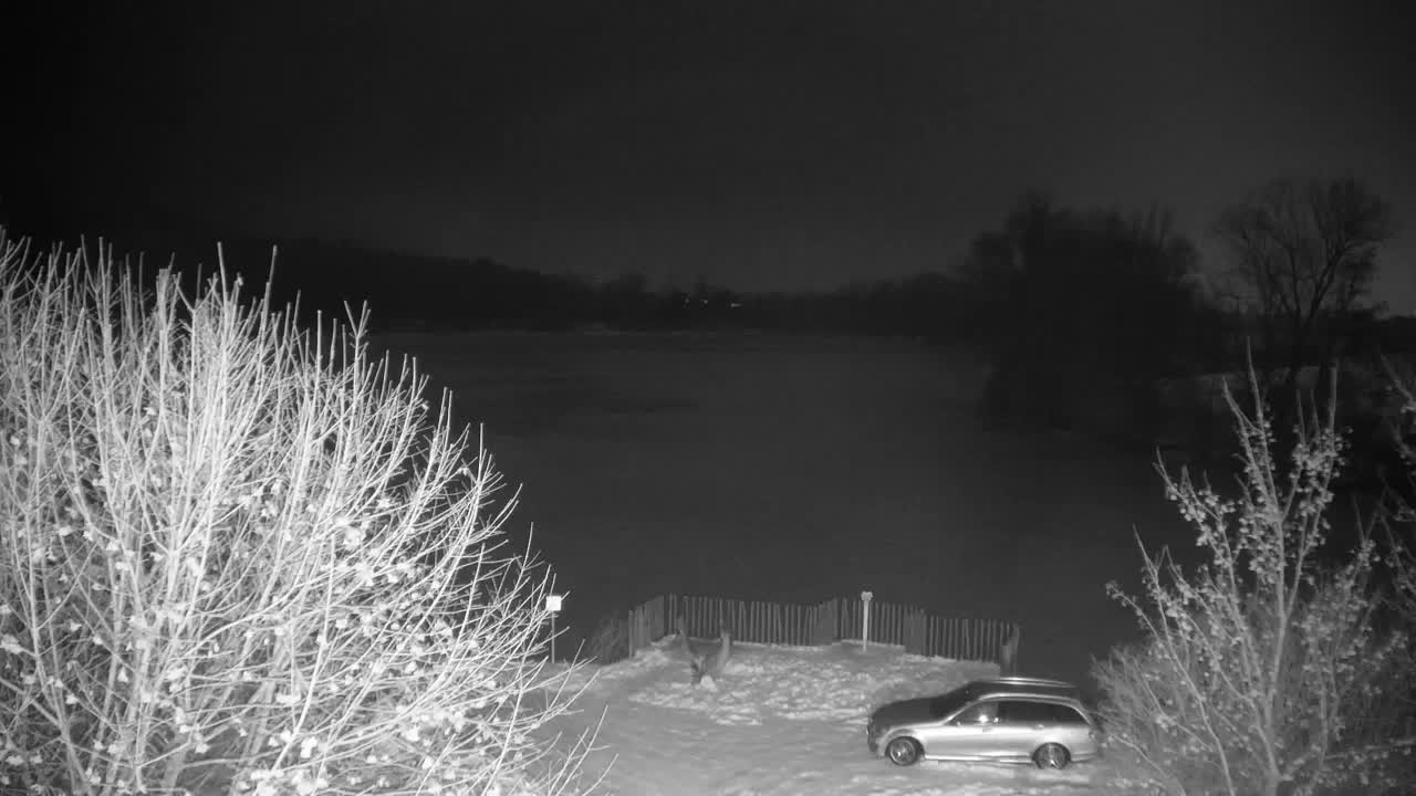 Webcam Ribnik Vrbje – Žalec