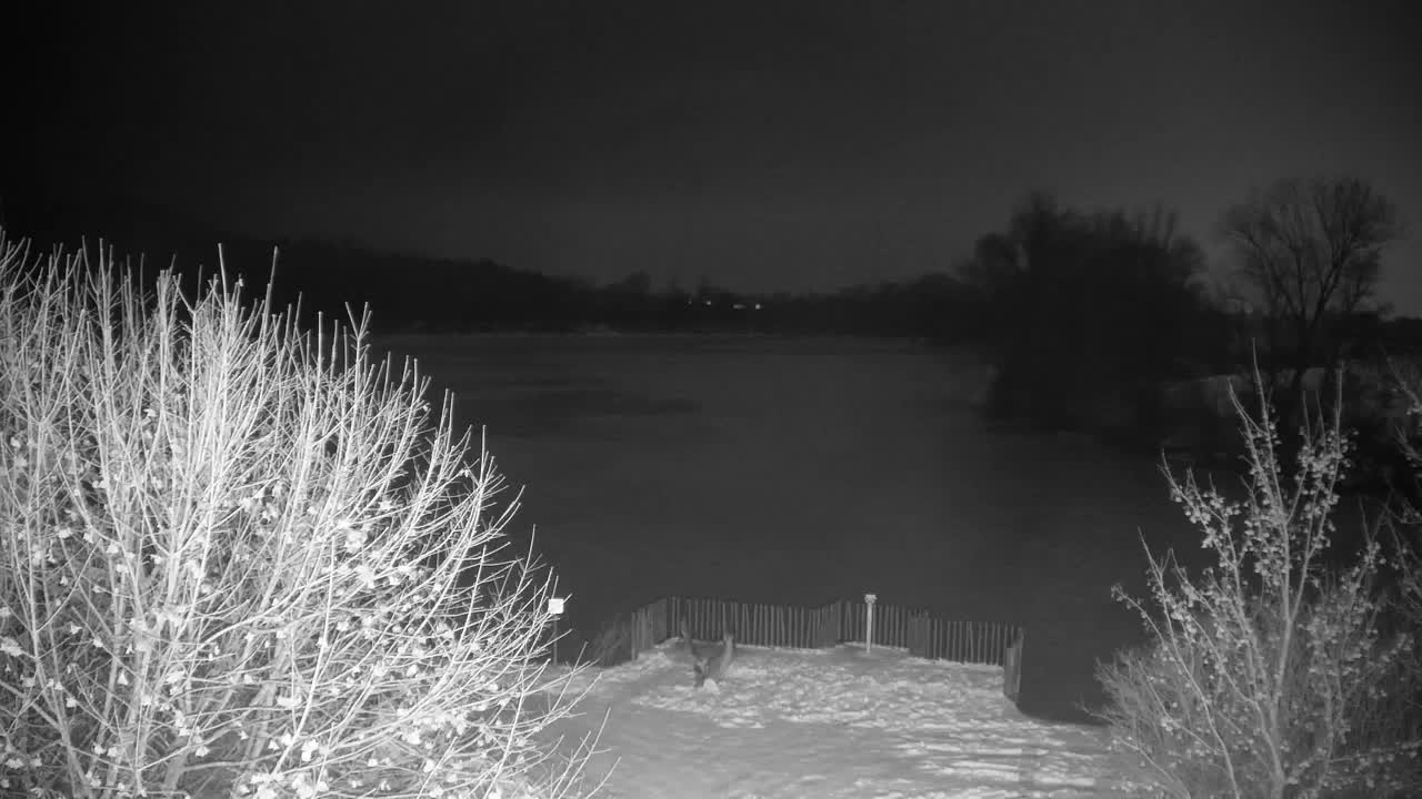 Spletna kamera Ribnik Vrbje – Žalec