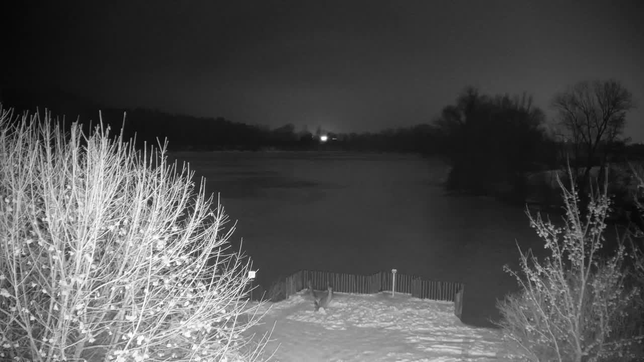 Webcam Ribnik Vrbje – Žalec