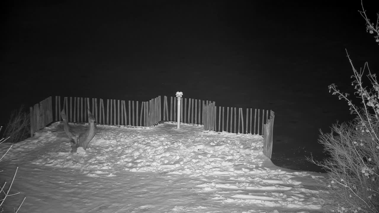 Webcam Ribnik Vrbje – Žalec