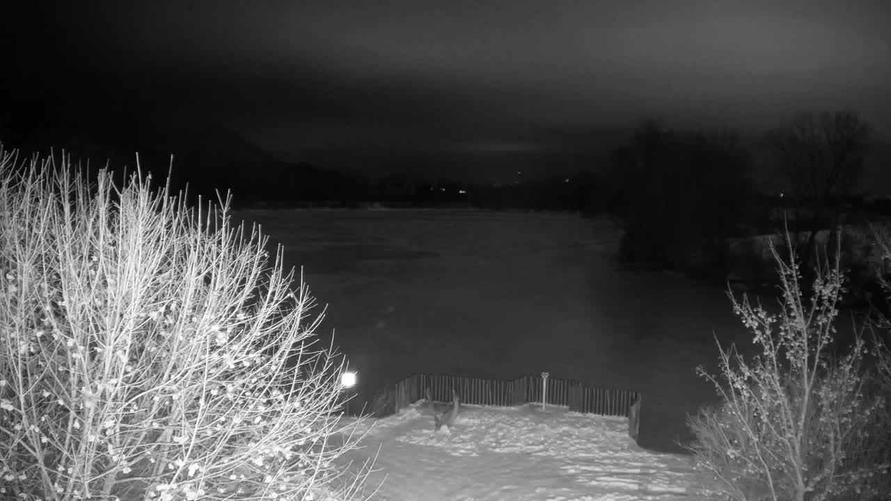 Web kamera Ribnik Vrbje – Žalec