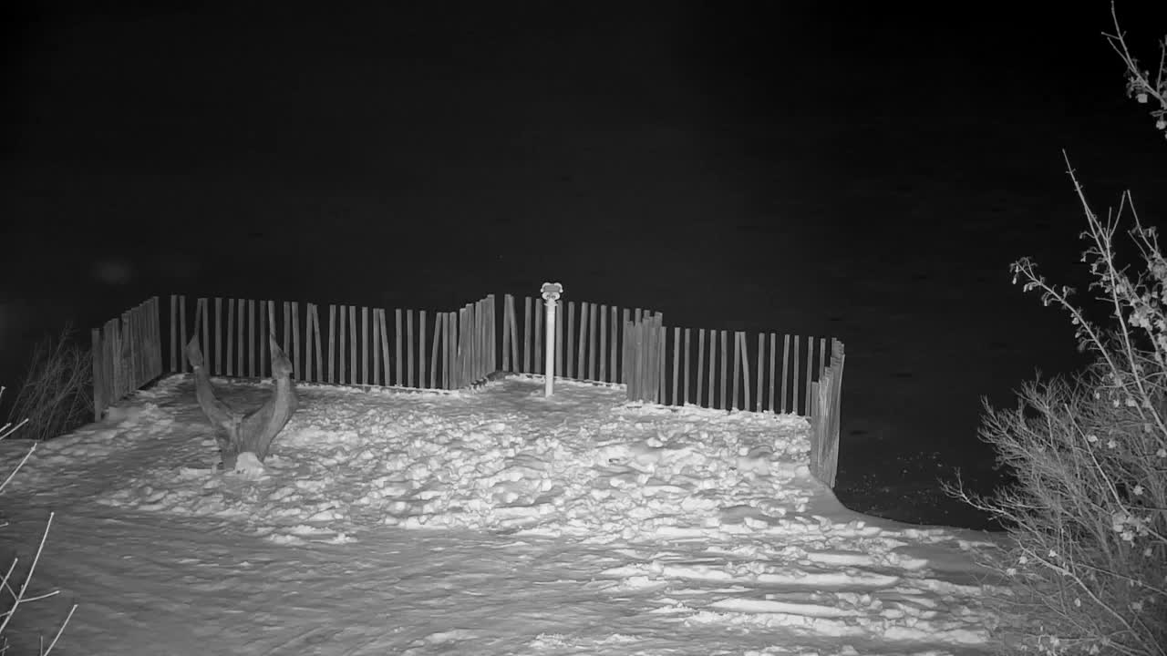 Webcam Ribnik Vrbje – Žalec