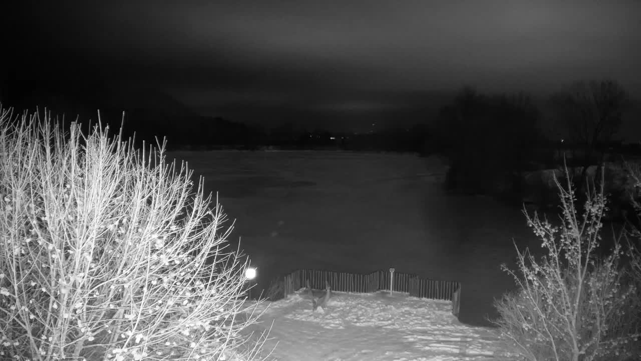 Webcam Ribnik Vrbje – Žalec