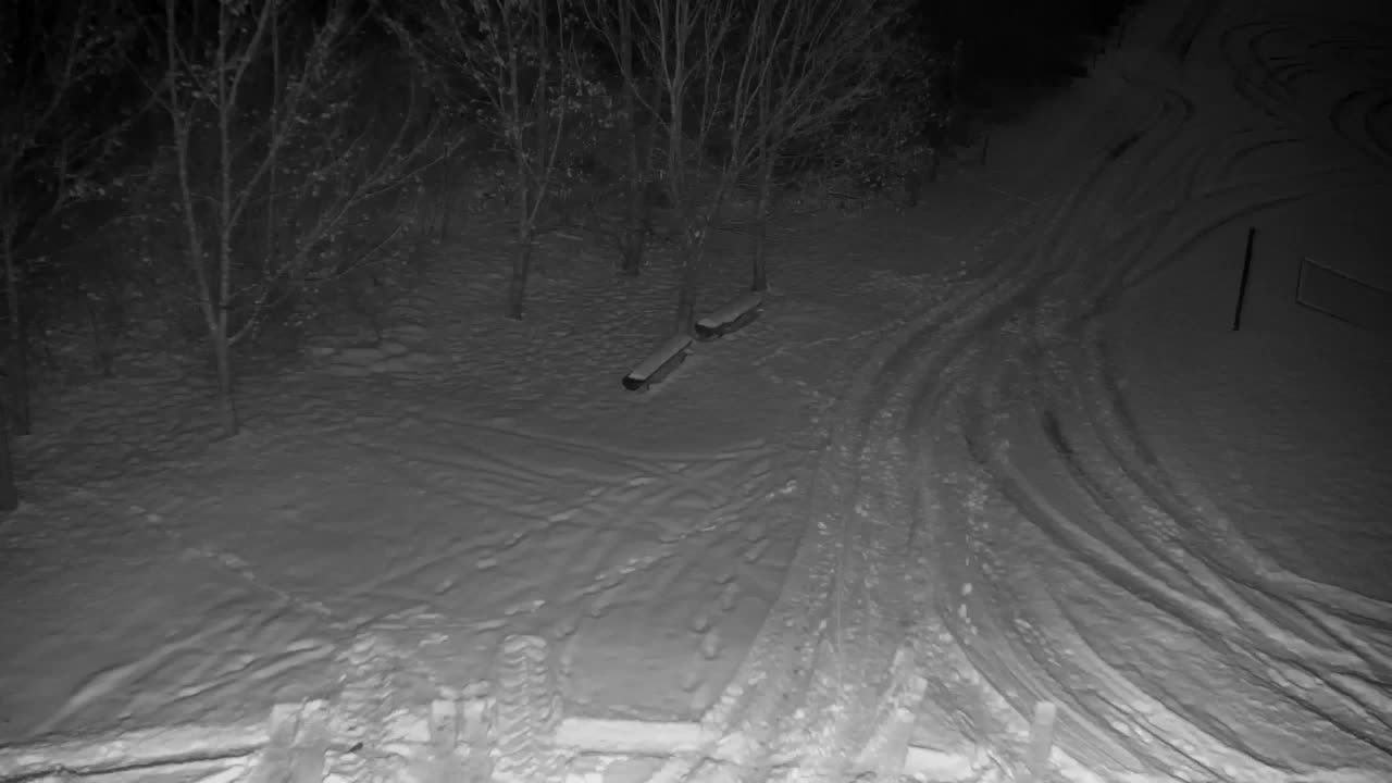 Web kamera Ribnik Vrbje – Žalec