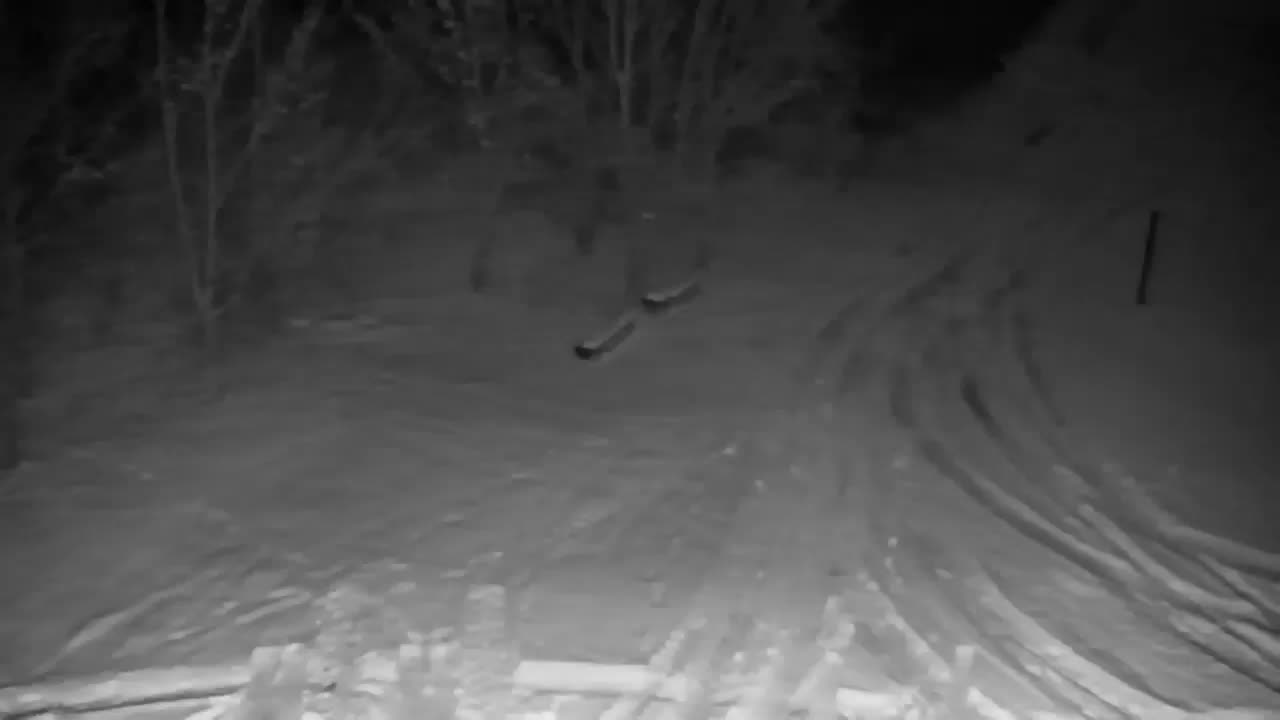 Spletna kamera Ribnik Vrbje – Žalec