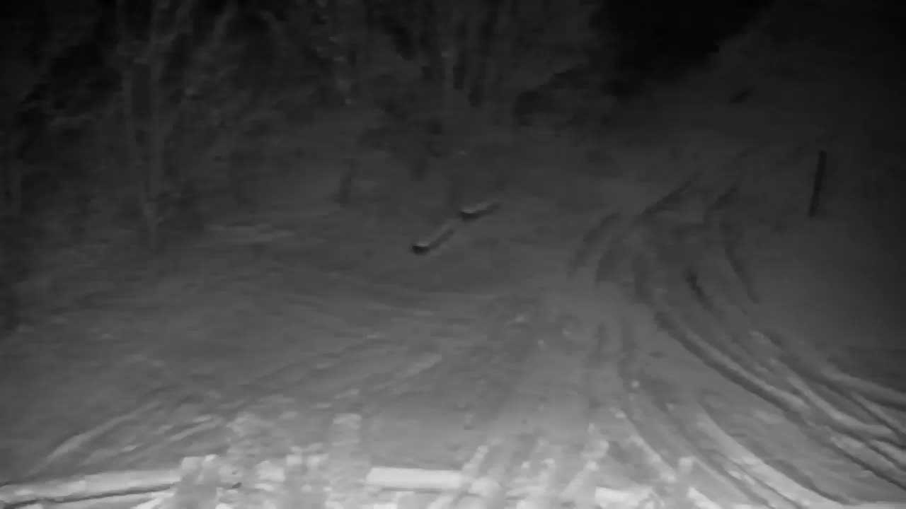 Spletna kamera Ribnik Vrbje – Žalec