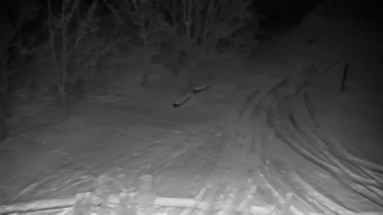 Webcam Ribnik Vrbje – Žalec