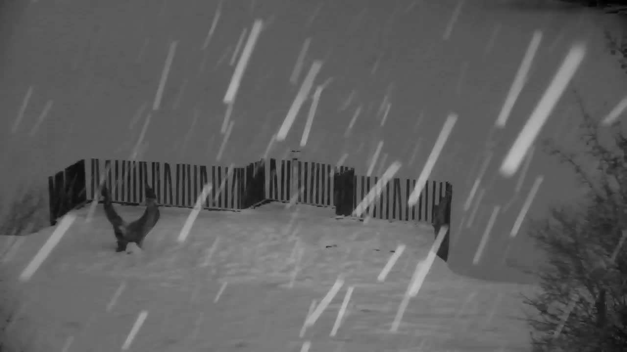 Webcam Ribnik Vrbje – Žalec