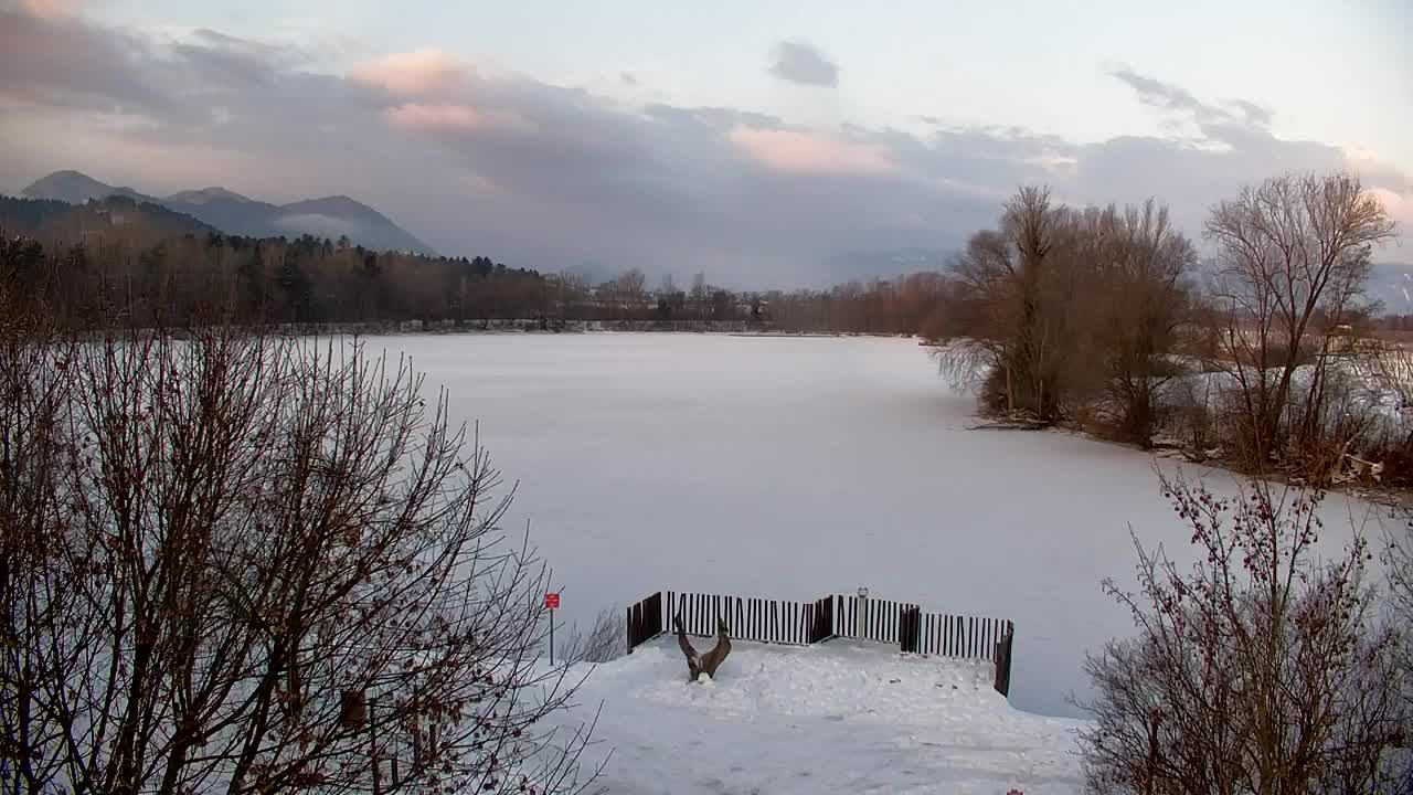 Webcam Ribnik Vrbje – Žalec