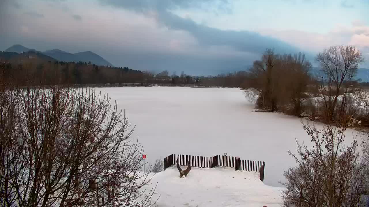 Webcam Ribnik Vrbje – Žalec