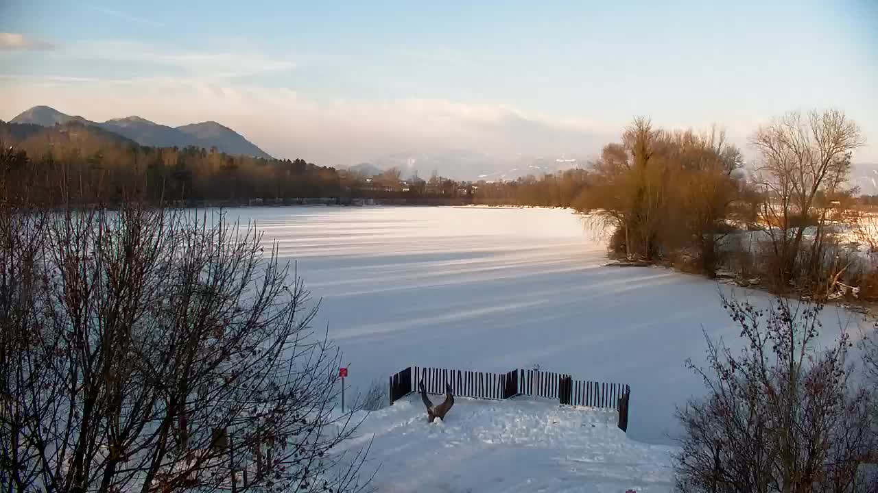 Webcam Ribnik Vrbje – Žalec