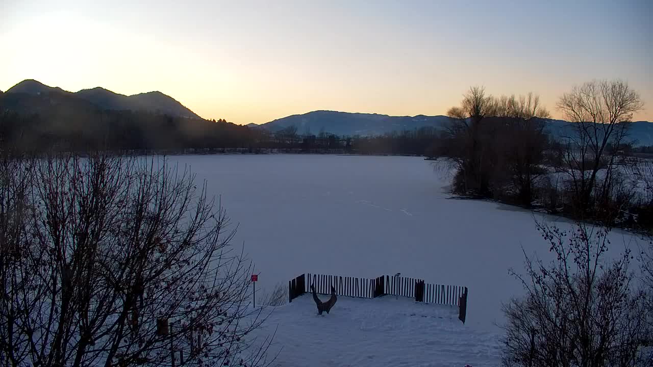 Webcam Ribnik Vrbje – Žalec