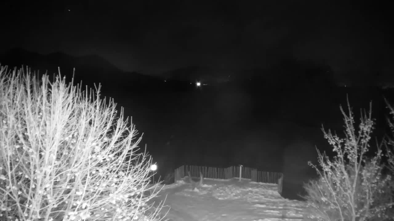 Webcam Ribnik Vrbje – Žalec