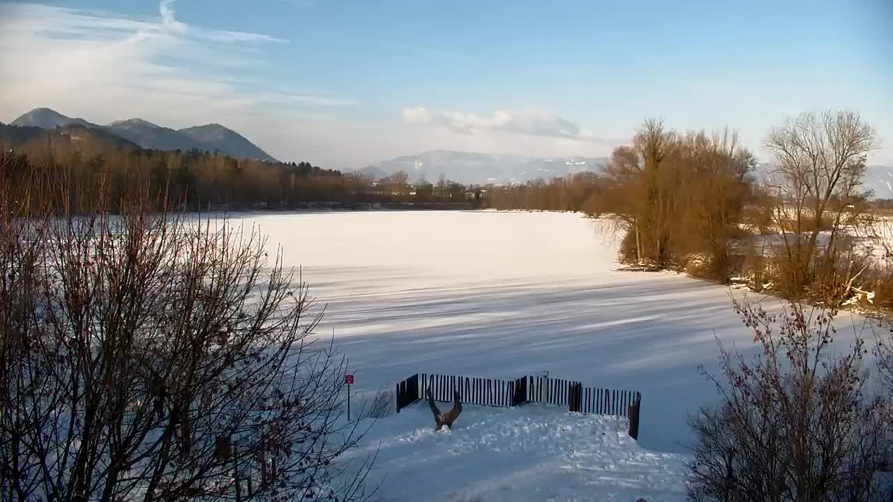 Webcam Ribnik Vrbje – Žalec