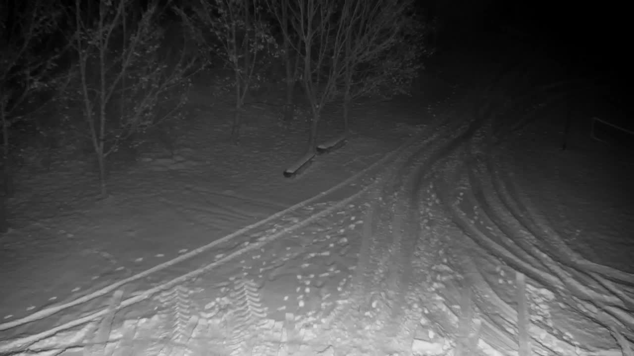 Webcam Ribnik Vrbje – Žalec