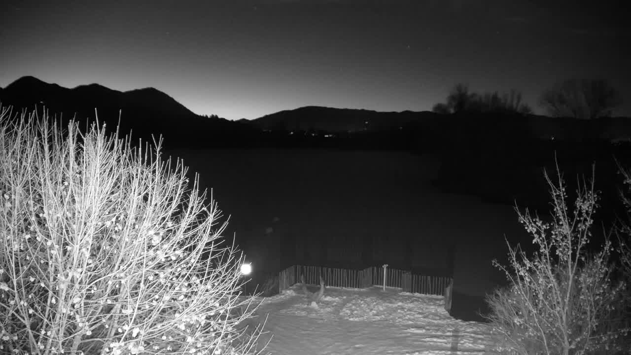 Webcam Ribnik Vrbje – Žalec