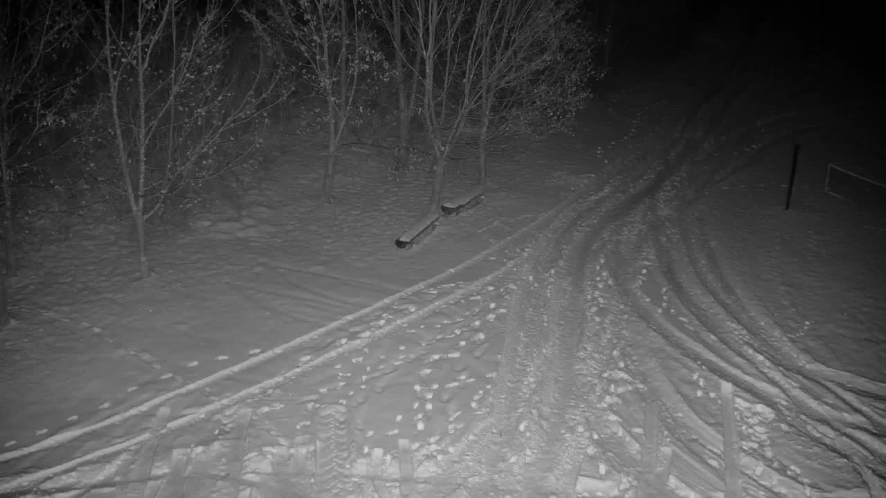 Spletna kamera Ribnik Vrbje – Žalec