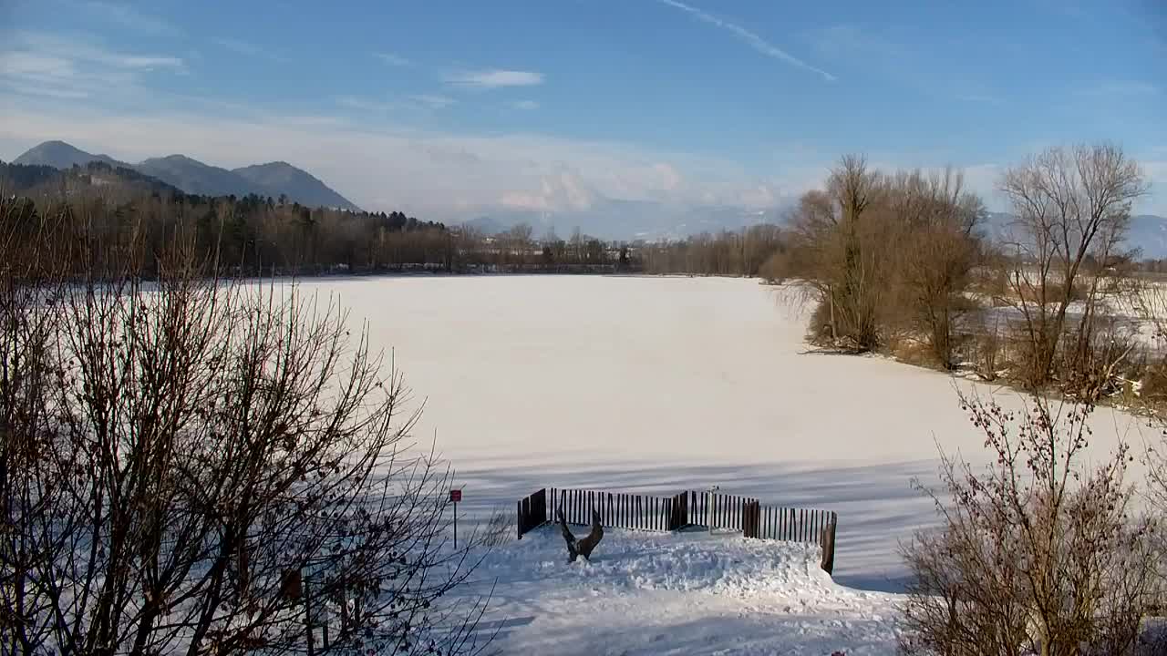 Webcam Ribnik Vrbje – Žalec