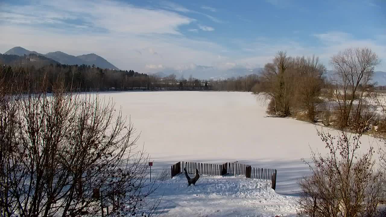 Webcam Ribnik Vrbje – Žalec
