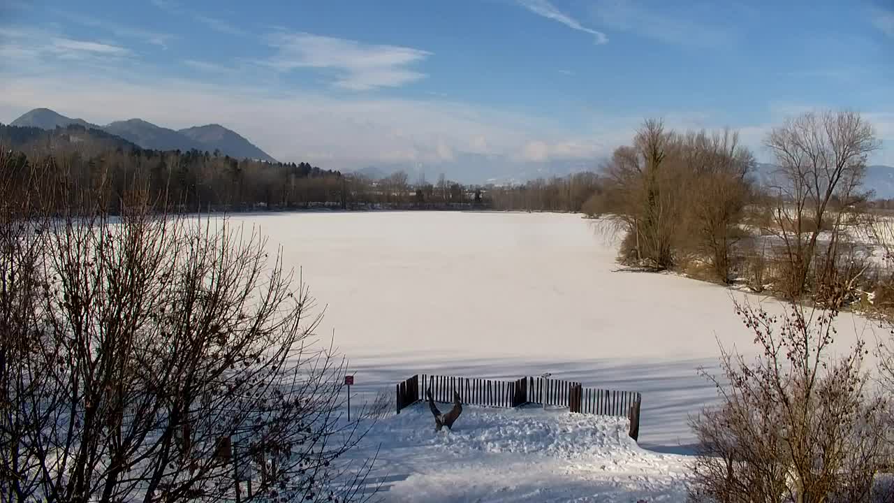 Webcam Ribnik Vrbje – Žalec